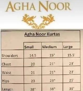 Agha Noor Chiffon