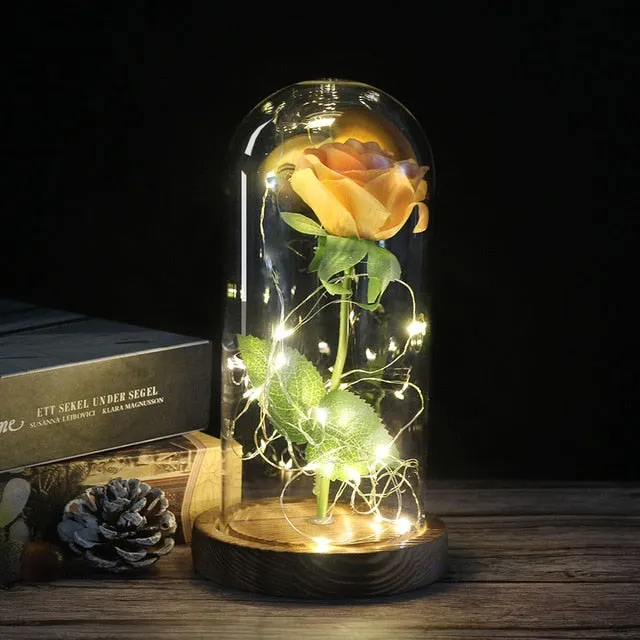 Beauty And The Beast Rose In LED Glass Dome