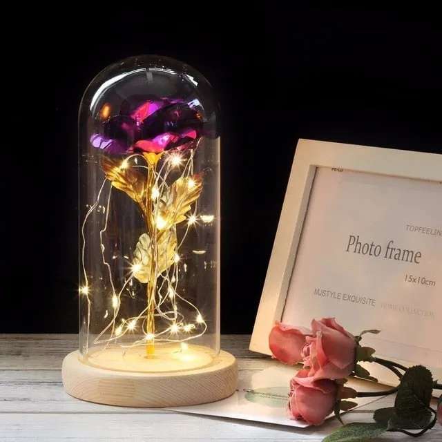 Beauty And The Beast Rose In LED Glass Dome