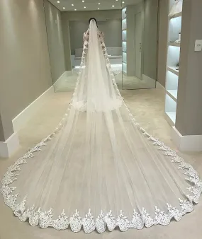 Cathedral One Layer Stunning Lace Edge Wedding Veil