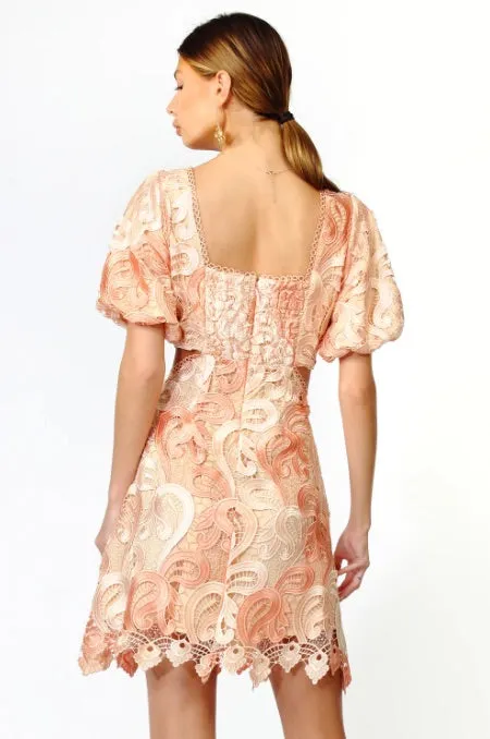 Giselle Ombre Lace Dress