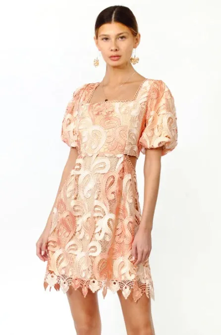 Giselle Ombre Lace Dress